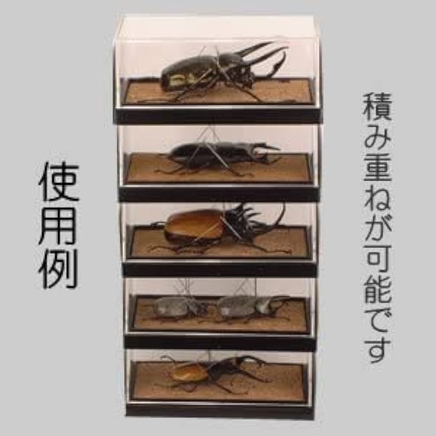 Amazon.co.jp: 【2個セット】フジコン PREMIUM（プレミアム